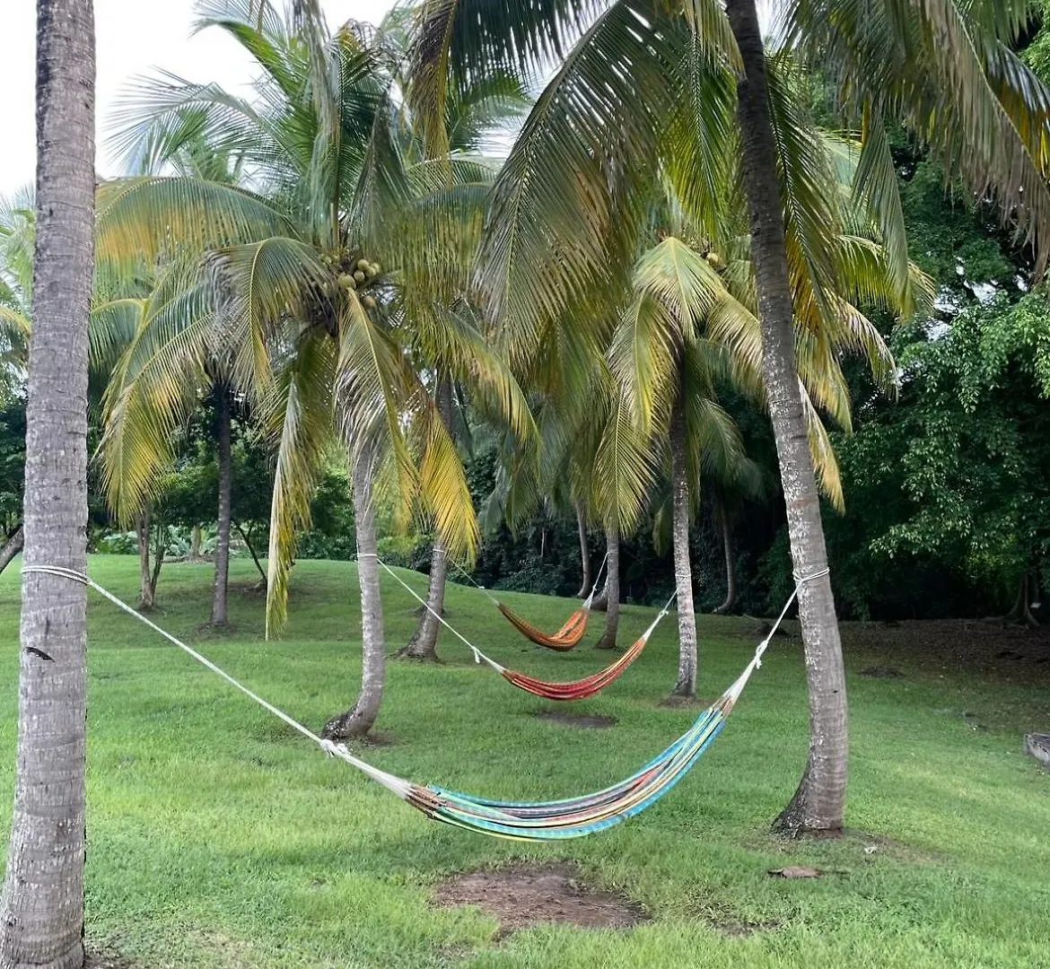 Couleur Caraibes-Ti Evasion Appartement Dans Un Hotel 3 Etoiles Vue Mer Sainte-Luce 0*,